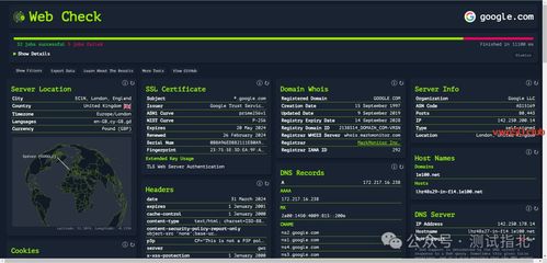 Web Check 全面开源的网站信息获取工具，赋能网络与信息安全开发
